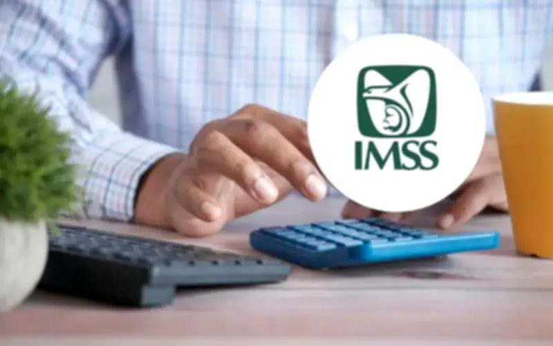 IMSS: Requisitos de semanas cotizadas para pensionarse según la ley aplicable