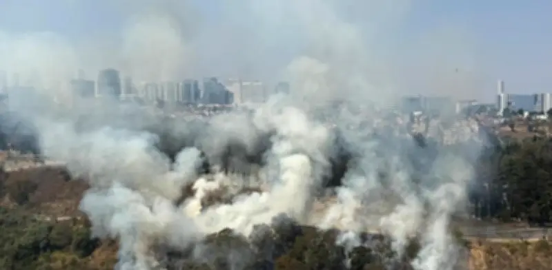 Incendio consume dos hectáreas de pasto seco en barranca de Álvaro Obregón, CDMX