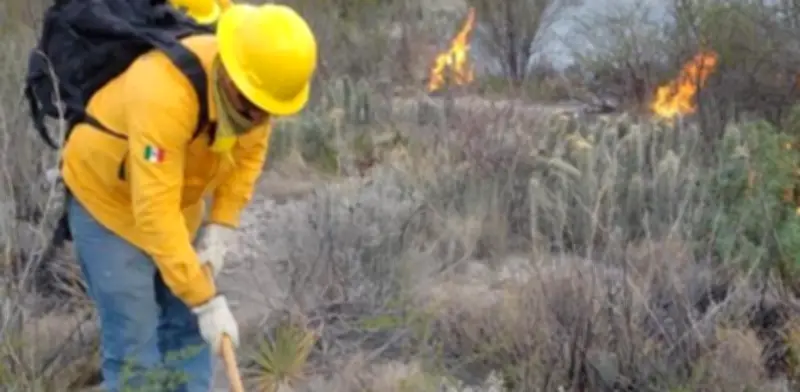 Incendio en Múzquiz, Coahuila, arrasa 185 hectáreas y derriba postes de CFE