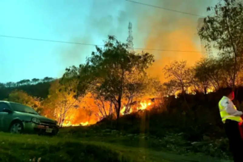 Incendio en Terreno Baldío al Sur de la Ciudad de México Provoca Alerta