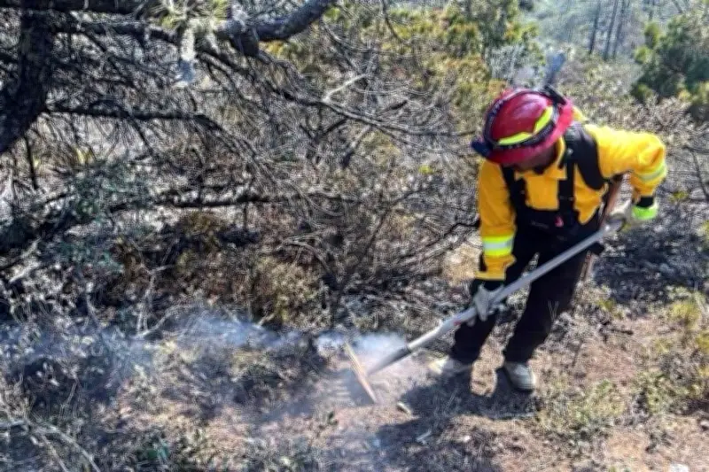 Incendio forestal arrasa zona protegida en Tamaulipas; autoridades combaten las llamas