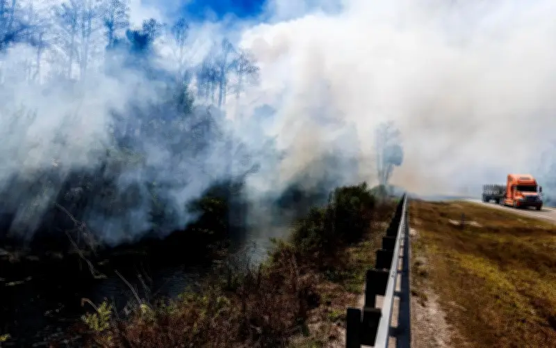Incendio forestal en Everglades de Florida consume 25 mil acres sin control por sequía severa