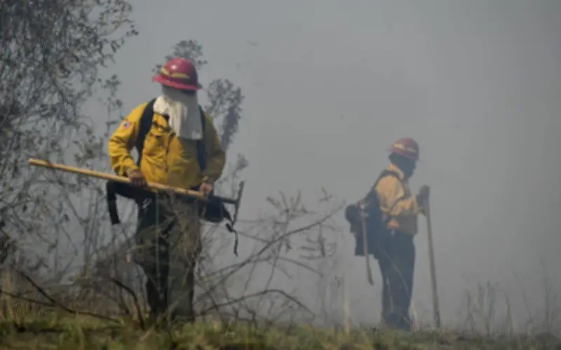 Incendio voraz consume vertedero municipal en San Juan de los Lagos, Jalisco