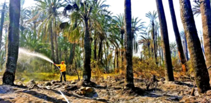 Incendios forestales se intensifican en México: Oaxaca reporta 50 siniestros y Hidalgo suma nuevos focos