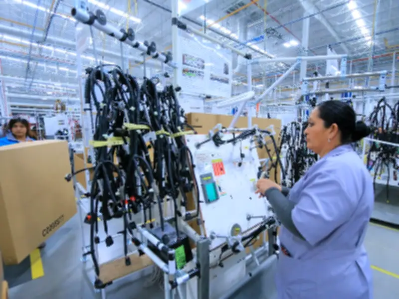 Industria de Jalisco sufre pérdidas de 100 millones de pesos tras violencia y Código Rojo