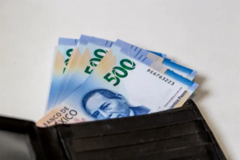 Ingresos del Gobierno Federal Registran Alza del 8.6% en Enero