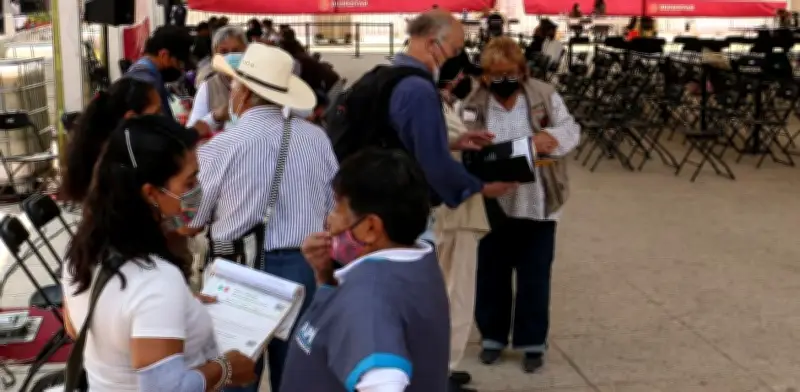 Inicia registro para Pensiones Mujeres Bienestar y Adultos Mayores: Ariadna Montiel