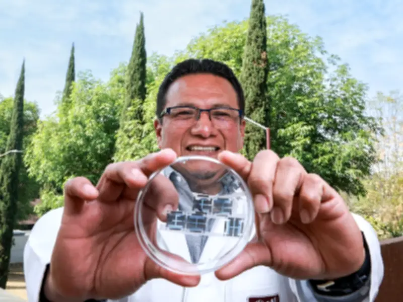 IPN desarrolla celdas solares orgánicas que generan energía con luz solar y artificial
