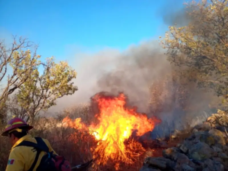 Jalisco activa Emergencia Atmosférica por incendio en Presa El Ahogado