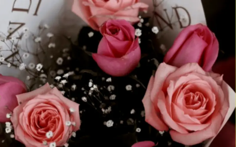 Jalisco: Día de San Valentín no es el pico de venta de rosas, revela Sader