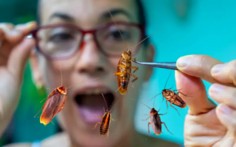 Katsaridafobia y Blatofobia: El Miedo Irracional a las Cucarachas Explicado