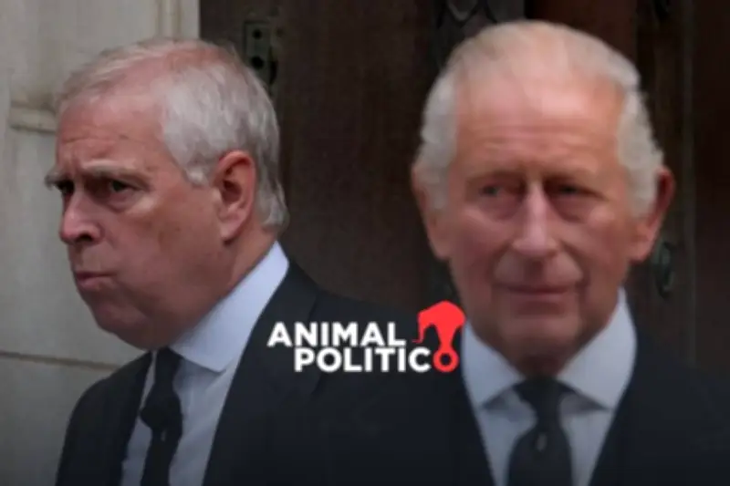 La decadencia de Andrés Malvinas: conexiones con el caso Epstein y escándalos