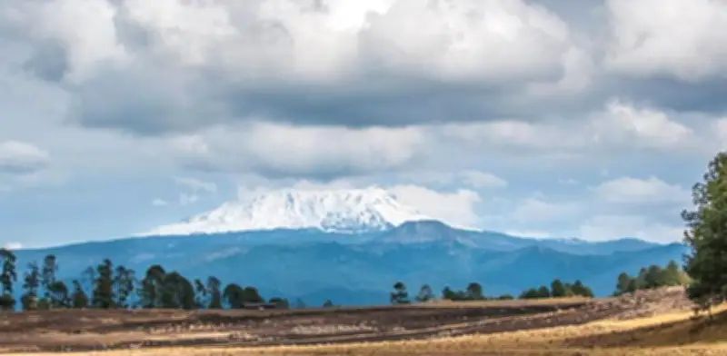 La Faja Volcánica Transmexicana: Un laboratorio evolutivo único amenazado por políticas forestales