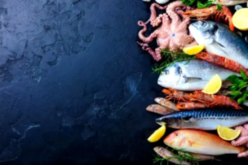 La Gastronomía Mexicana se Eleva con Nuevas Tendencias Culinarias