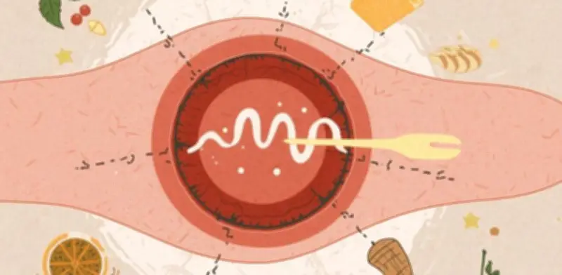 La glucosa, un nutriente esencial, acelera la cicatrización según estudio en Cell Metabolism