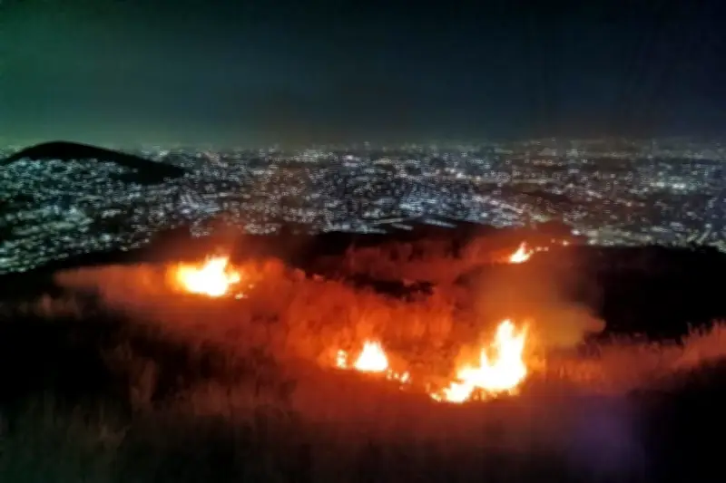 La Megalópolis concentra más de la mitad de incendios forestales en México