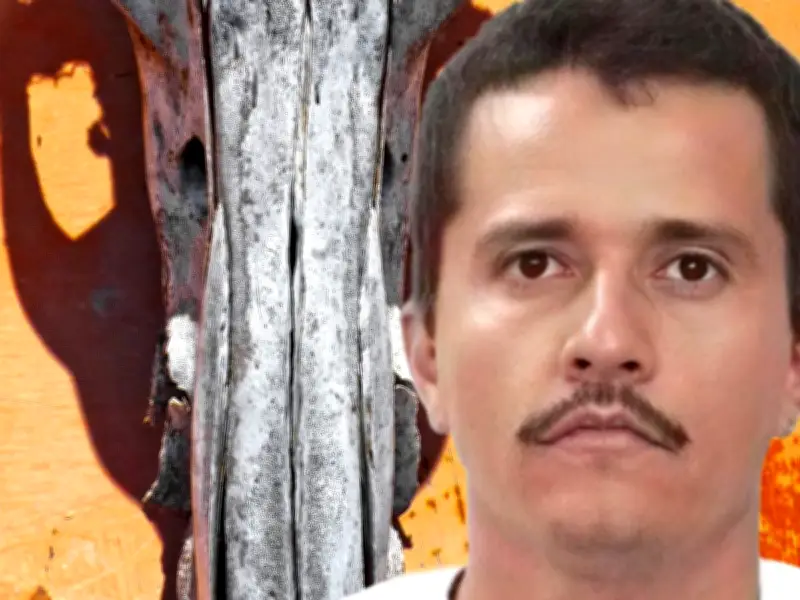 La muerte de 'El Mencho': Un síntoma de la banalización del mal y el odio en México