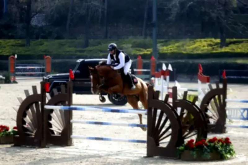 La Segunda del Estatal: Análisis de la Competencia Política en el Norte