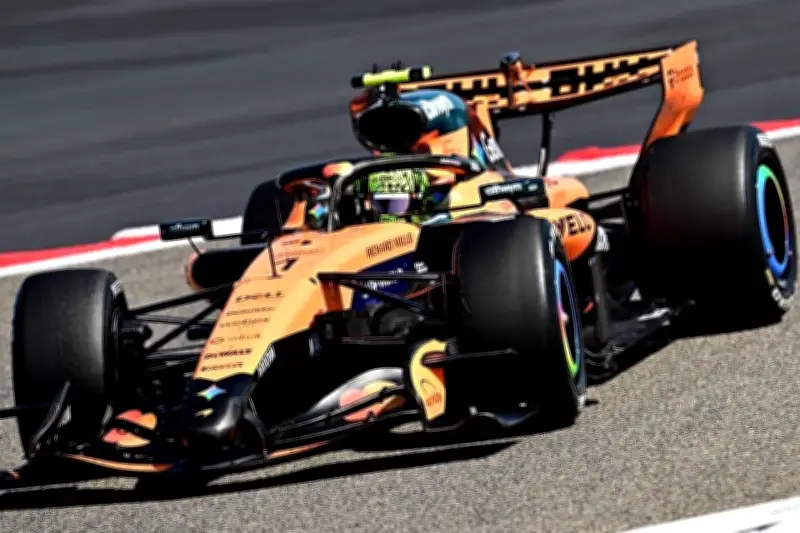 Lando Norris Disfruta Plenamente de su Trabajo en la Fórmula 1