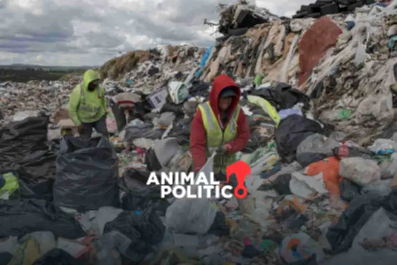 Ley de Economía Circular reconoce por primera vez a personas pepenadoras en México