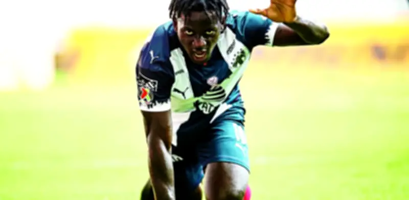 Los Therians del Fútbol Mexicano: Goleadores que Liberan su Instinto Animal