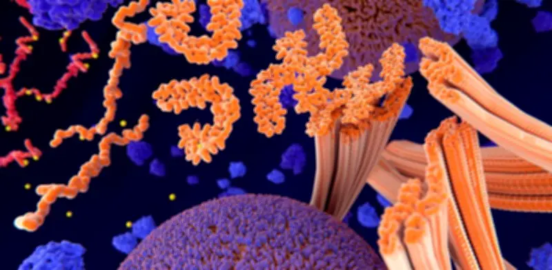 Luces y sonidos a 40 Hz: ¿Una nueva esperanza para frenar el Alzheimer?