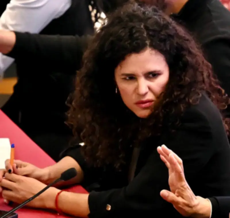 Luisa Alcalde responde a Elon Musk: 'A México se le respeta' tras críticas a Sheinbaum