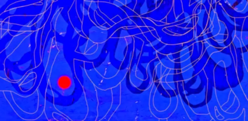 Mauricio Cervantes despliega 'Geografías líquidas' en Oaxaca con 40 obras de arte sustentable