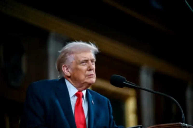 Medios Revelan Omisión de Archivos de Epstein Vinculados a Trump en Caso