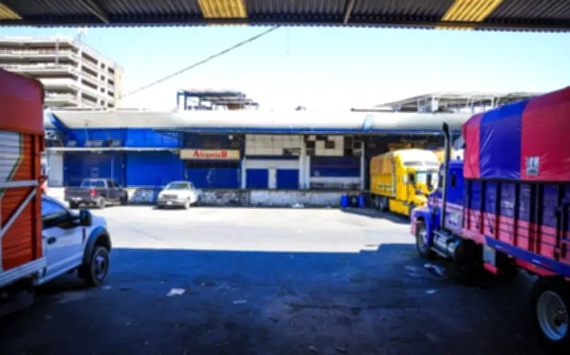 Mercado de Abastos de Guadalajara Cierra por Operativos de Seguridad Tras Captura de 'El Mencho'