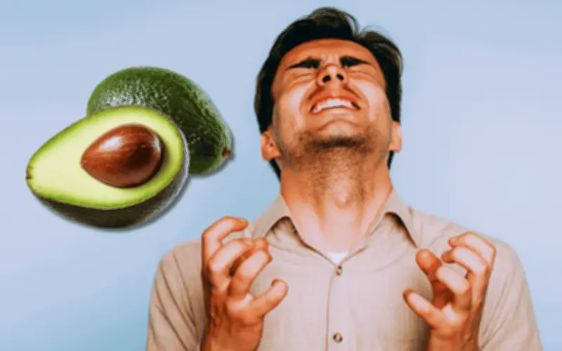 Mito del Aguacate y la Bilis: La Verdad sobre Comerlo Tras un Coraje