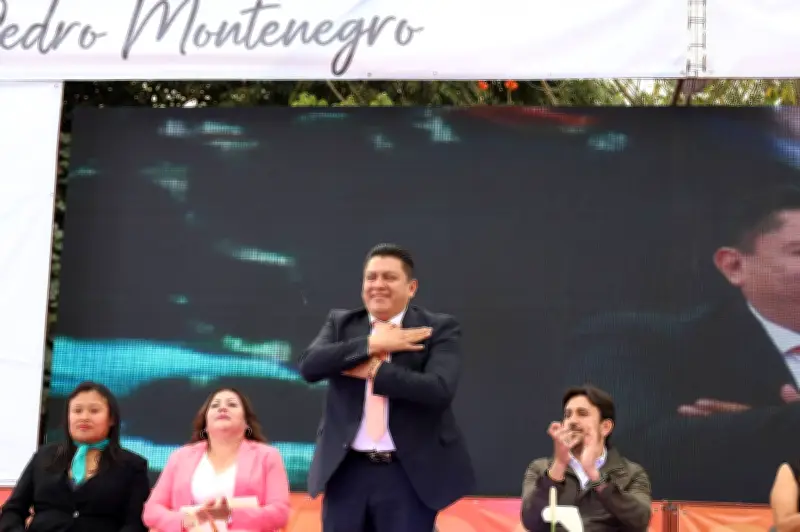 Morelos investiga desaparición de perros comunitarios en Tlayacapan; piden pruebas