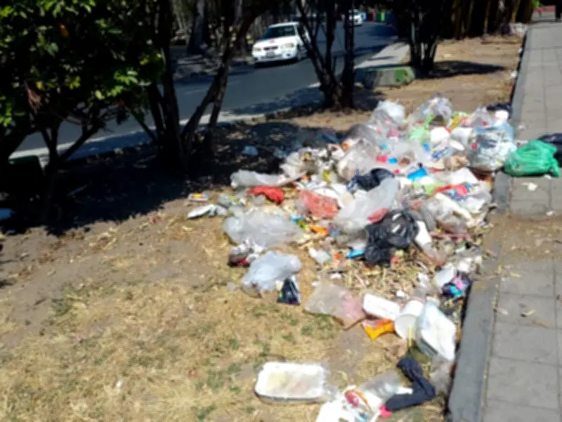 Morena propone endurecer sanciones por tirar basura en espacios públicos de CDMX