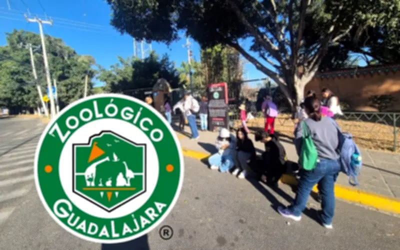 Más de mil turistas varados en el Zoológico de Guadalajara tras ola de violencia en Jalisco