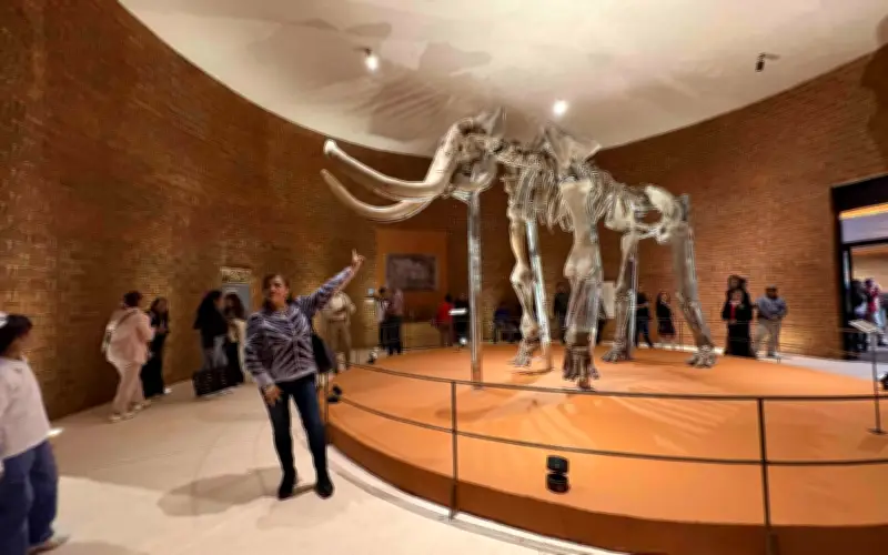 Museo del Mamut en Edomex reabre tras restauración con acceso gratuito