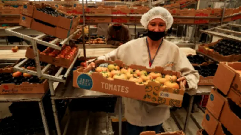 México registra déficit comercial de 6,481 mdd en enero de 2026 pese a crecimiento en importaciones y exportaciones