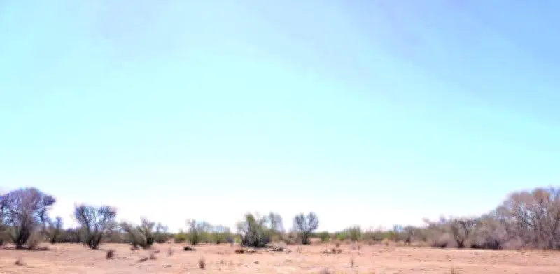 México se calienta más rápido que el planeta, advierten científicos de la UNAM