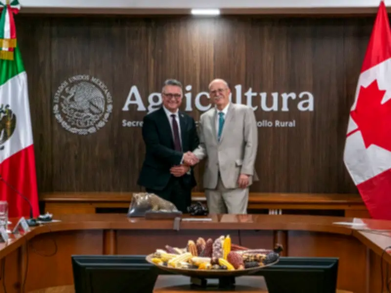 México y Canadá fortalecen comercio agroalimentario con nuevos acuerdos digitales