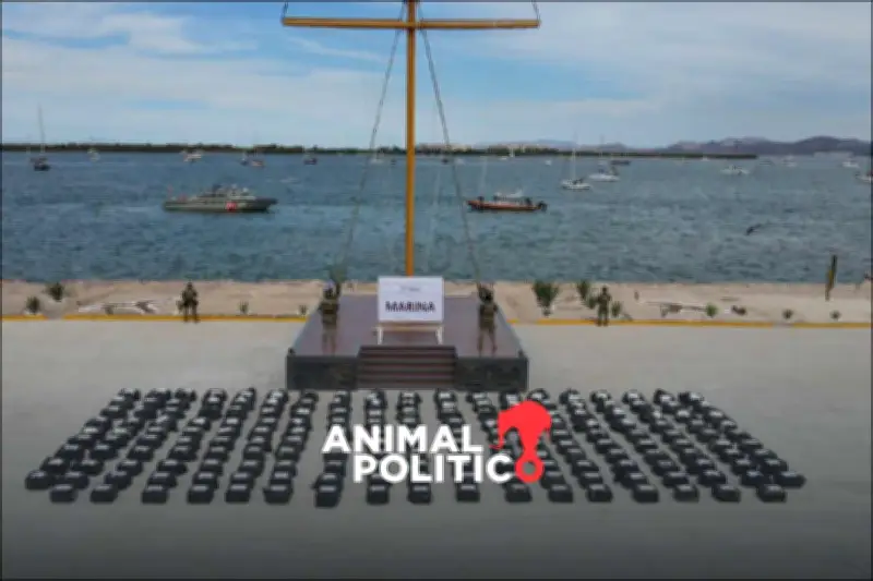 México y EU Decomisan Toneladas de Cocaína en Operación Binacional en el Pacífico