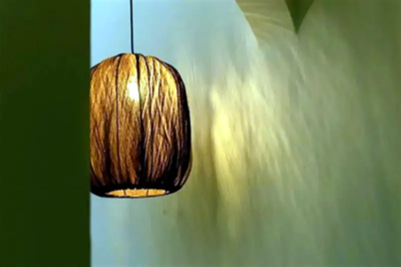 Nace la Luz de la Naturaleza: Nueva Exposición de Arte Ecológico en Ciudad de México