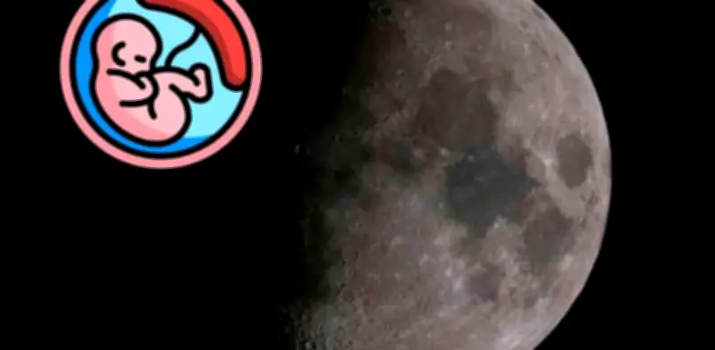 Nacimientos Lunares: La Ciencia Explora la Posibilidad de Nacer en la Luna