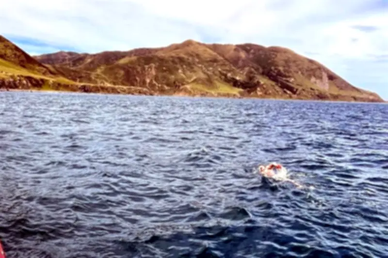 Nadador mexicano logra hazaña histórica cruzando el Estrecho de Cook en Nueva Zelanda