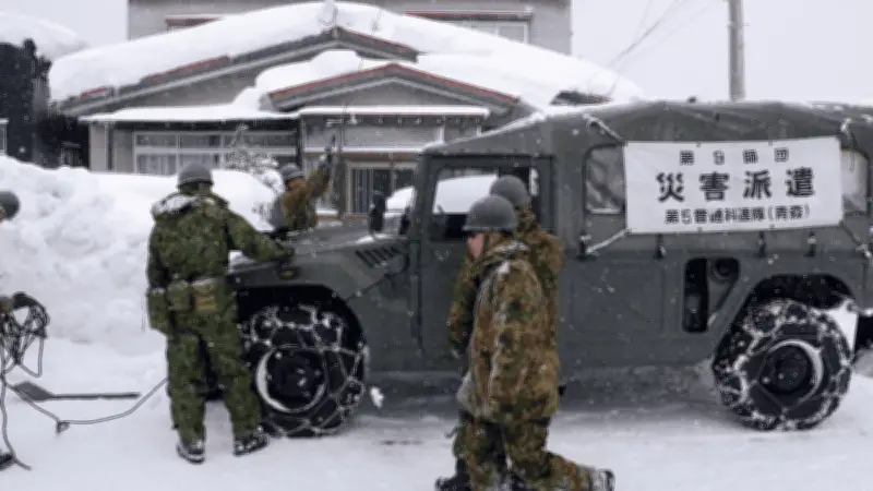 Nevadas en Japón dejan 46 fallecidos y más de 550 heridos tras tres semanas de tormentas