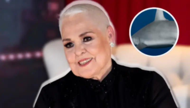 Nieto de Lupita D'Alessio sufre mordida de tiburón; su hermano lo rescata en dramático incidente