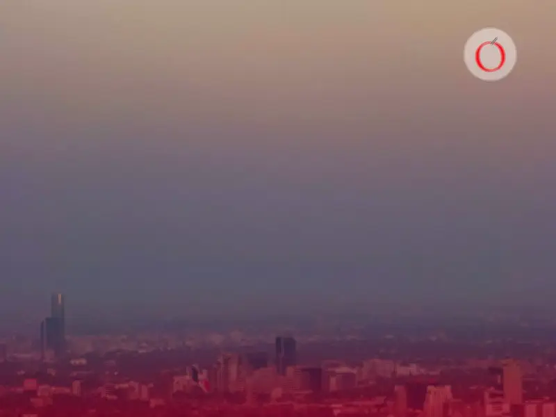 No habrá Doble Hoy No Circula este sábado 21 de febrero en CDMX y Edomex