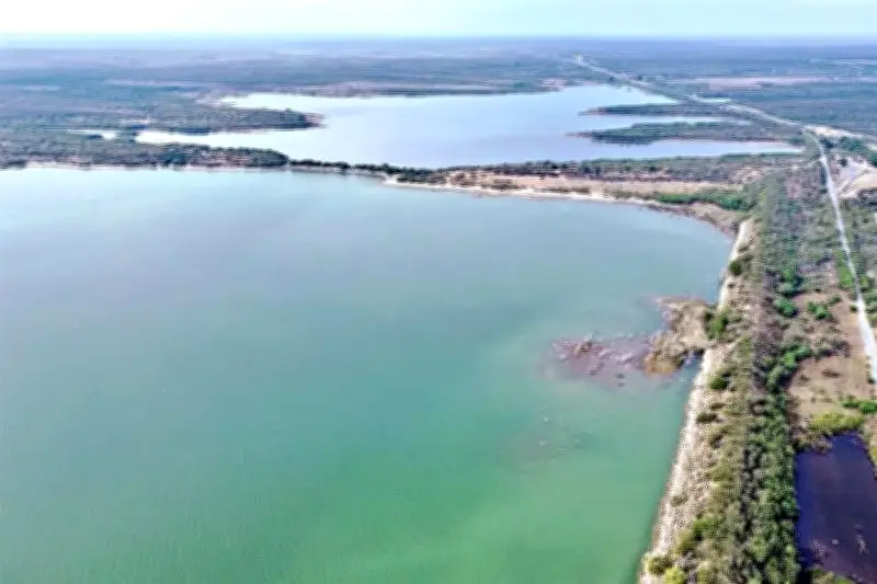 Nuevo León pierde en un año el equivalente a 10 veces La Boca, según estudio
