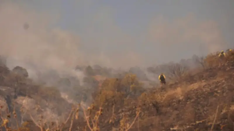 Oaxaca Lidera Incendios Forestales en México con 48 Siniestros y 7,150 Hectáreas Afectadas