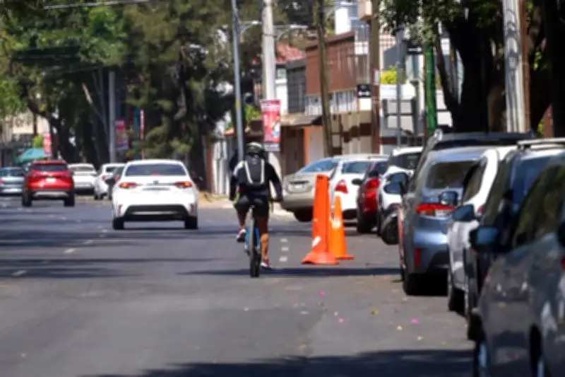 Obras de Ciclovía en División del Norte Generan Incertidumbre y Preocupación