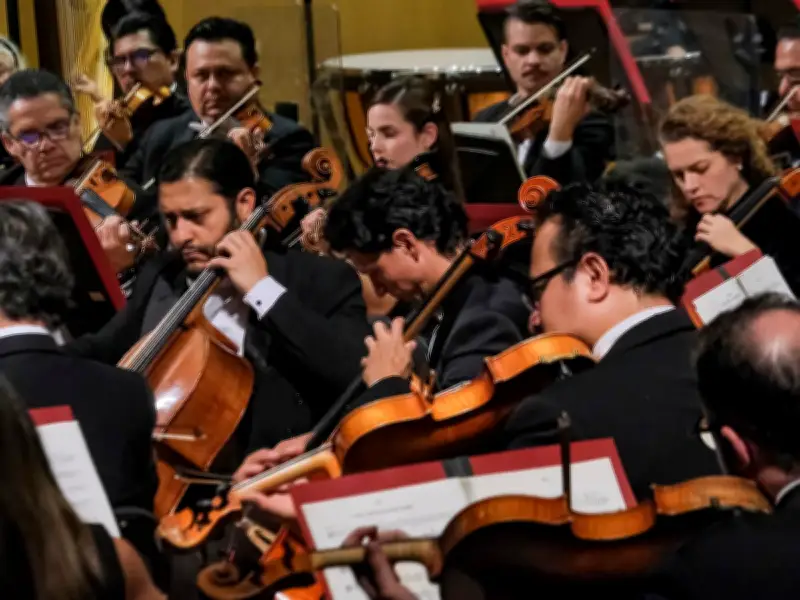 OFJ ofrecerá conciertos gratuitos en Foro LARVA con enfoque en inclusión social