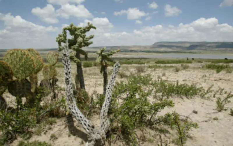 Ojuelos de Jalisco: El municipio que limita con casi cuatro estados de México